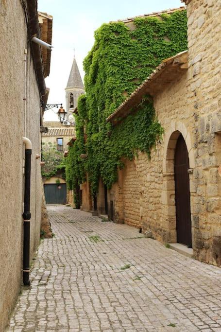 Entre Uzes Et Le Pont-Du-Gard Le Logis D'Autrefois Apartment แกสติญง-ดู-การ์ ภายนอก รูปภาพ