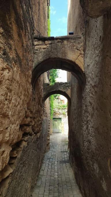 Entre Uzes Et Le Pont-Du-Gard Le Logis D'Autrefois Apartment แกสติญง-ดู-การ์ ภายนอก รูปภาพ